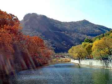 新澳天天开奖资料大全旅游团，莱芜市委书记